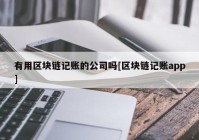 有用区块链记账的公司吗[区块链记账app]